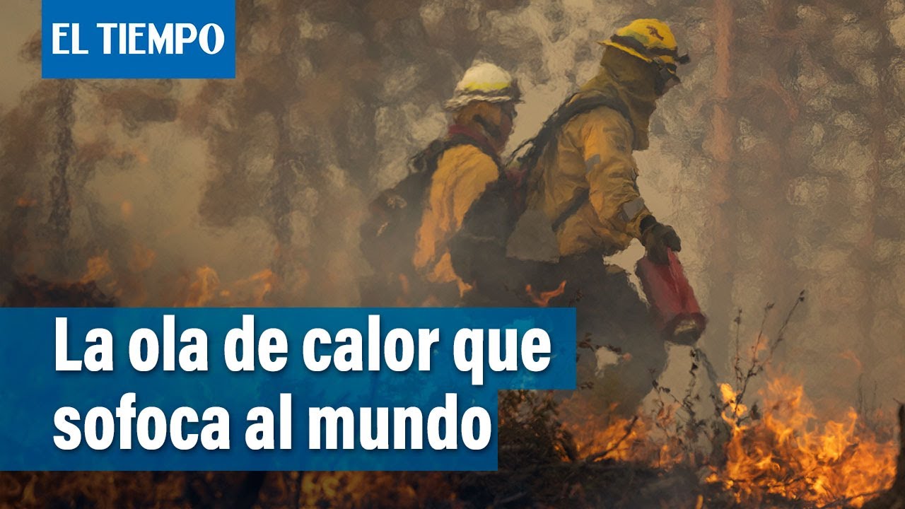 Muertes, incendios y temperaturas récord: ola de calor arrasa en Europa, EE. UU. y China | El Tiempo