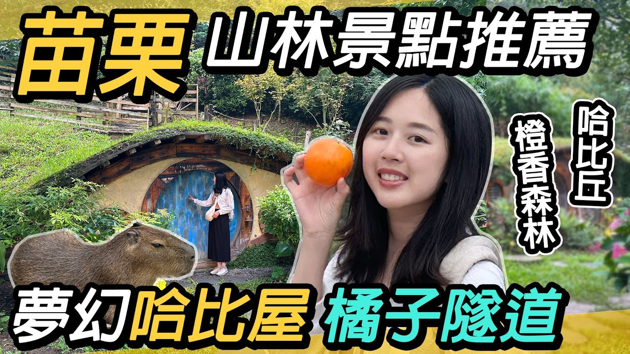 苗栗山林景點推薦！走入夢幻哈比屋，浪漫橘子隧道｜超萌水豚君｜哈比丘茶樹森林、橙香森林