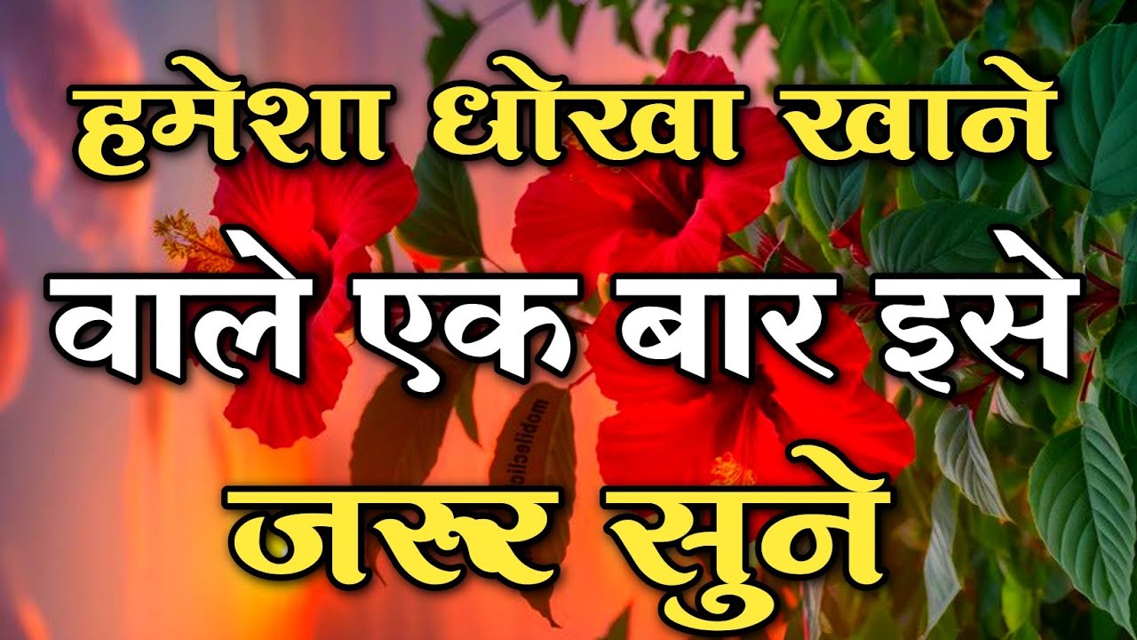 हमेशा धोखा खाने वाले एक बार इसे जरूर सुने || #motivationquotes || #preciousqoutes 