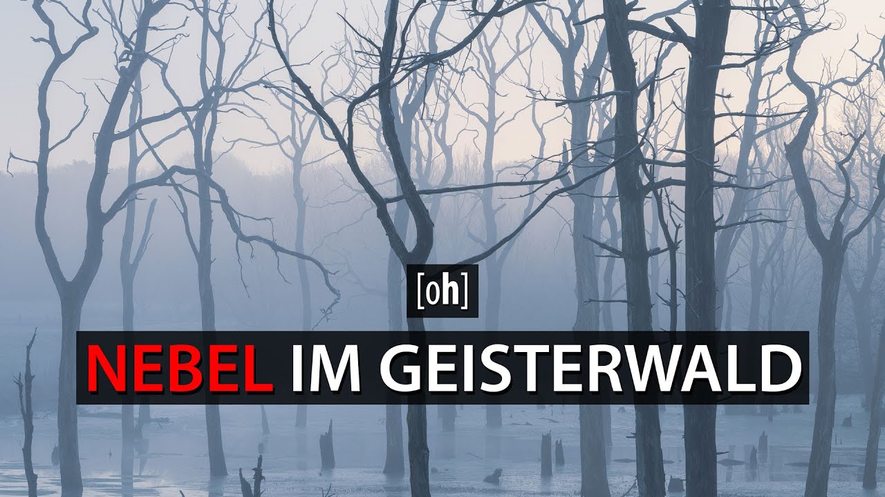 Nebel im Geisterwald fotografieren | @Holger Graeber photography