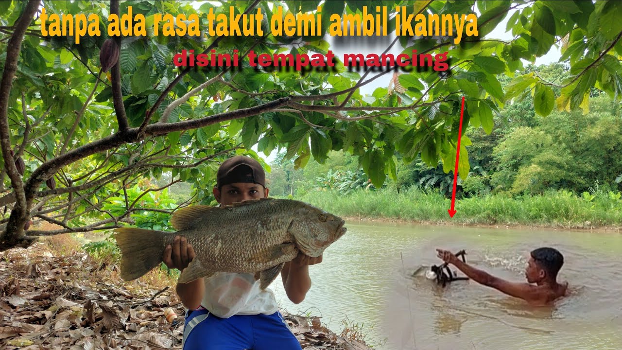 Padahal airnya keruh tak ditau apa saja yang ada dibawah tapi rela turun demi ambil pancing dan ikan