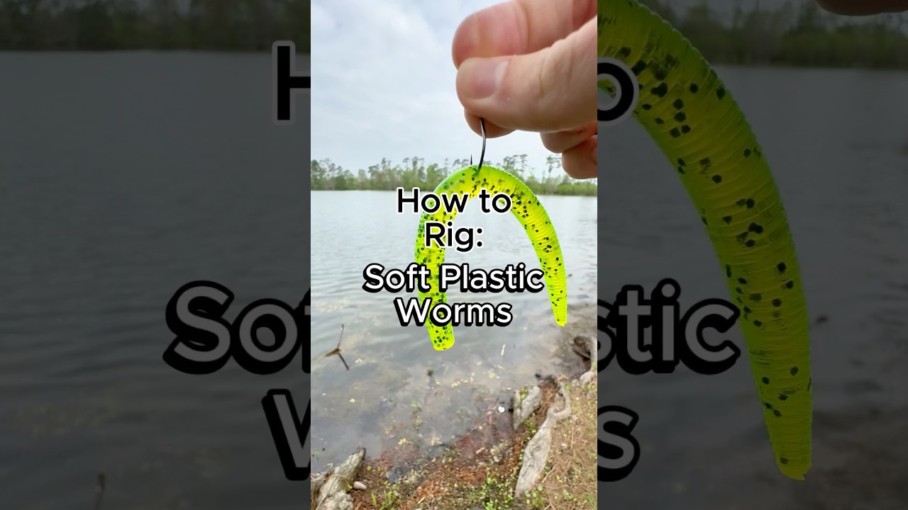 5 Popular Ways to Rig Soft Plastic Worms for Fishing #bassfishing #fishing #fishingtips