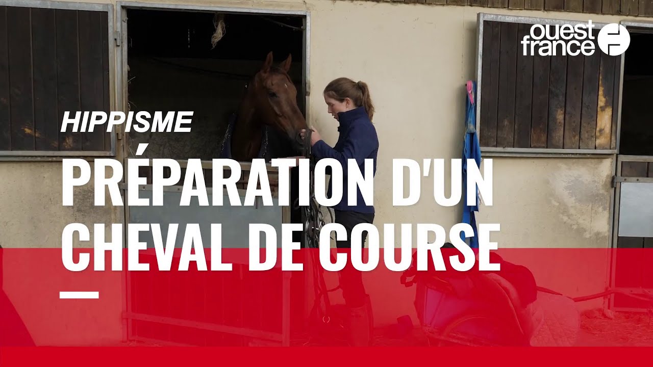 Comment un cheval se prépare à une course d’obstacles (Grand Steeple-Chase de Paris 2021)