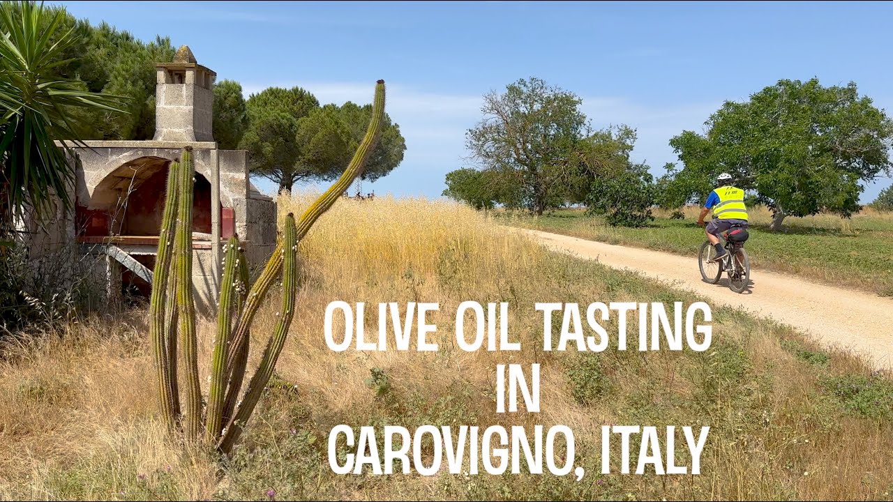 Olive Oil Tasting in Carovigno, Italy