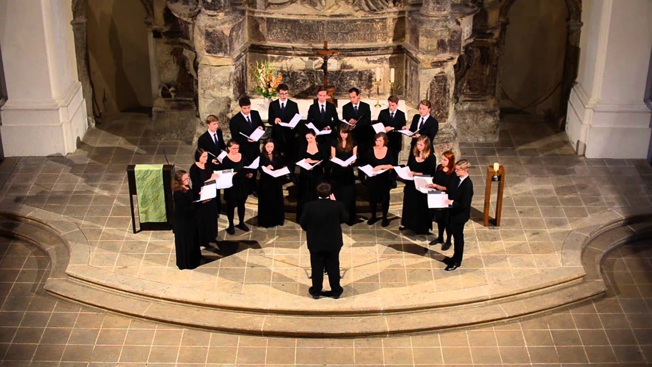 Tu solus (Josquin Desprez) | Vocalitas Nova