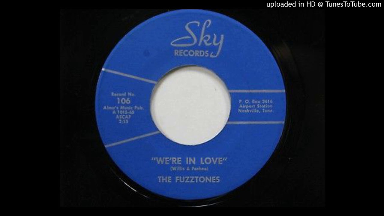 THE FUZZTONES we re in love