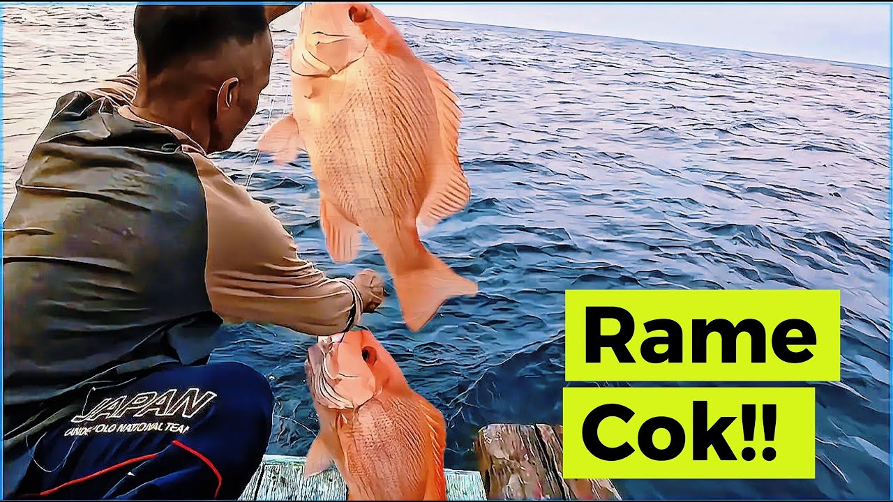 Pesta strike!! Mancing dasaran target ikan kakap merah di laut kalimantan