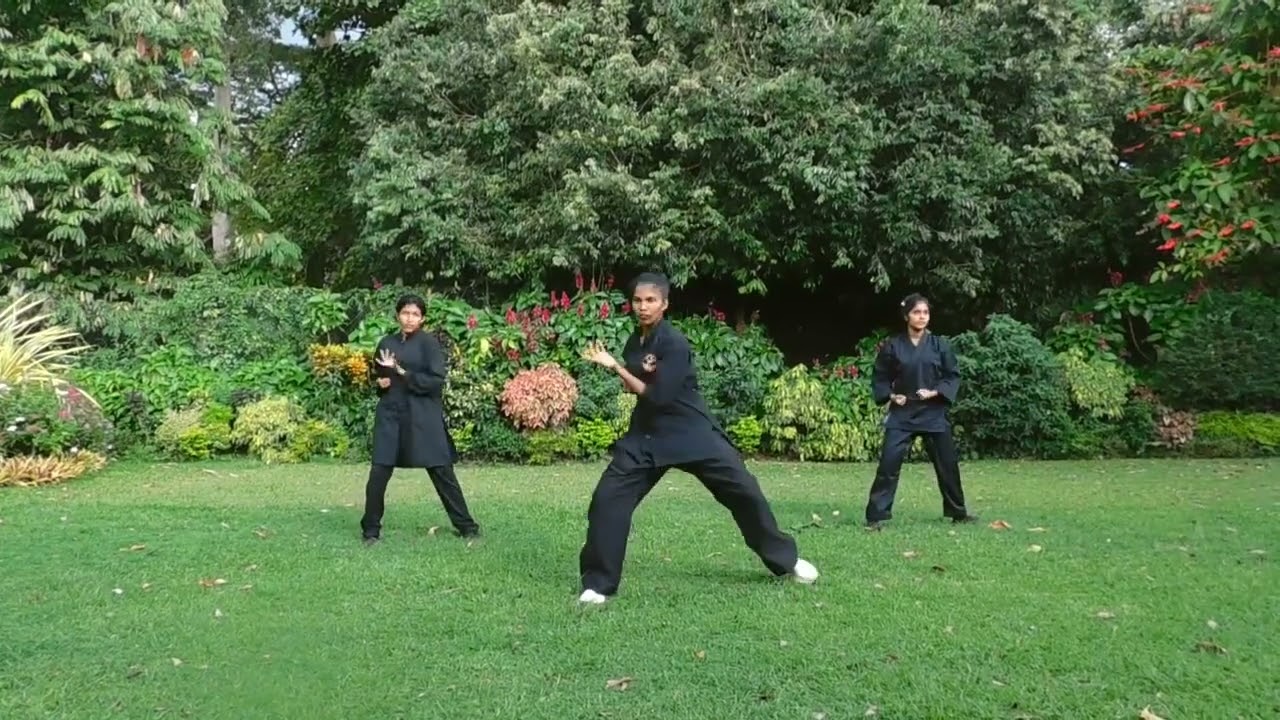 Kungfu/Qi gong/Tai chi with jiujitasu සටන්කලා  පංති දිවයින පුරා 0776641393.