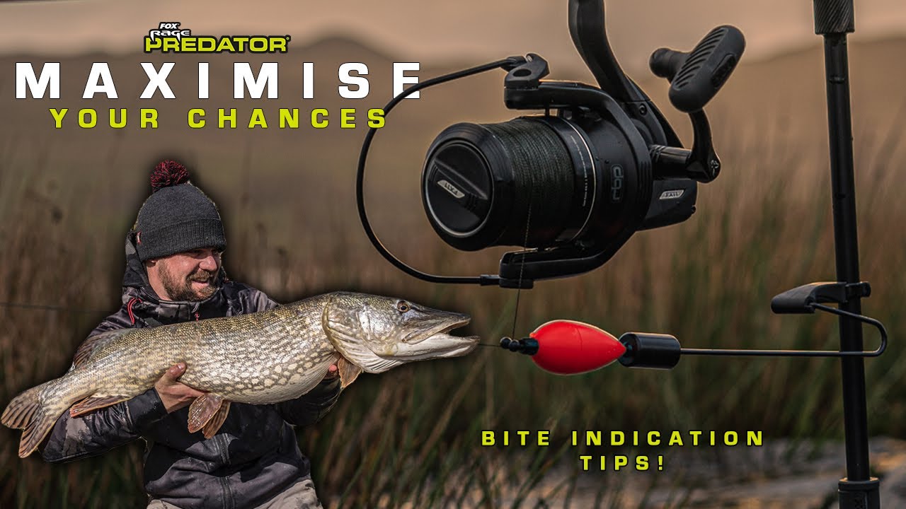 BITE INDICATION TIPS! Deadbaiting with Drop Off Indicators for Pike and Zander.