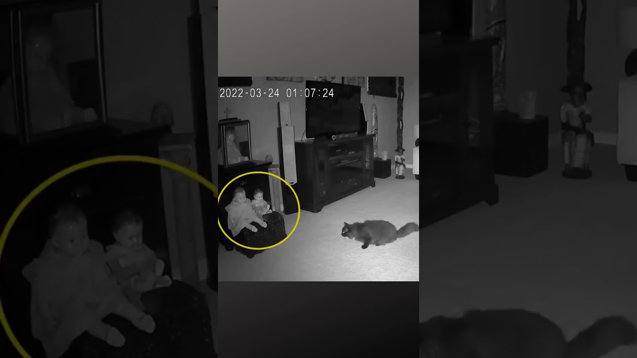 C&acirc;meras de seguran&ccedil;a capturam 'fantasma' deixando uma boneca e perseguindo seu gato