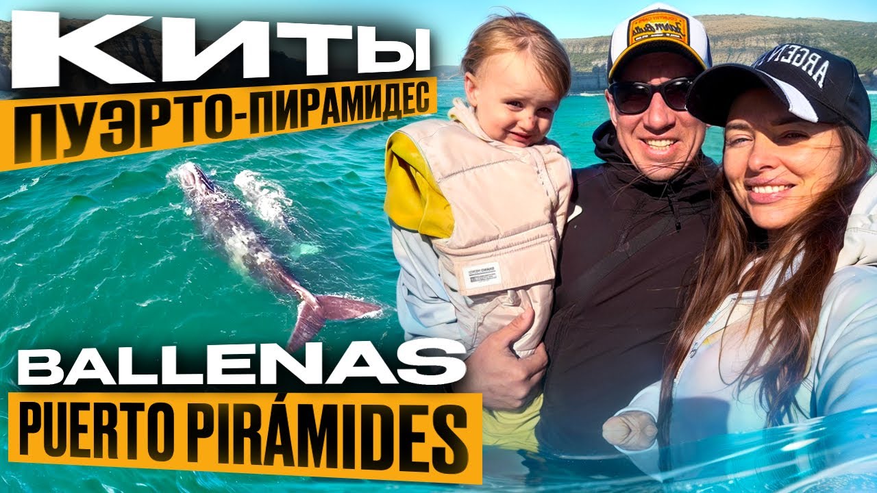 Пуэрто-Пирамидес. Киты. Чубут. Патагония. Аргентина. Puerto Pirámides. Ballenas. Chubut. Patagonia.