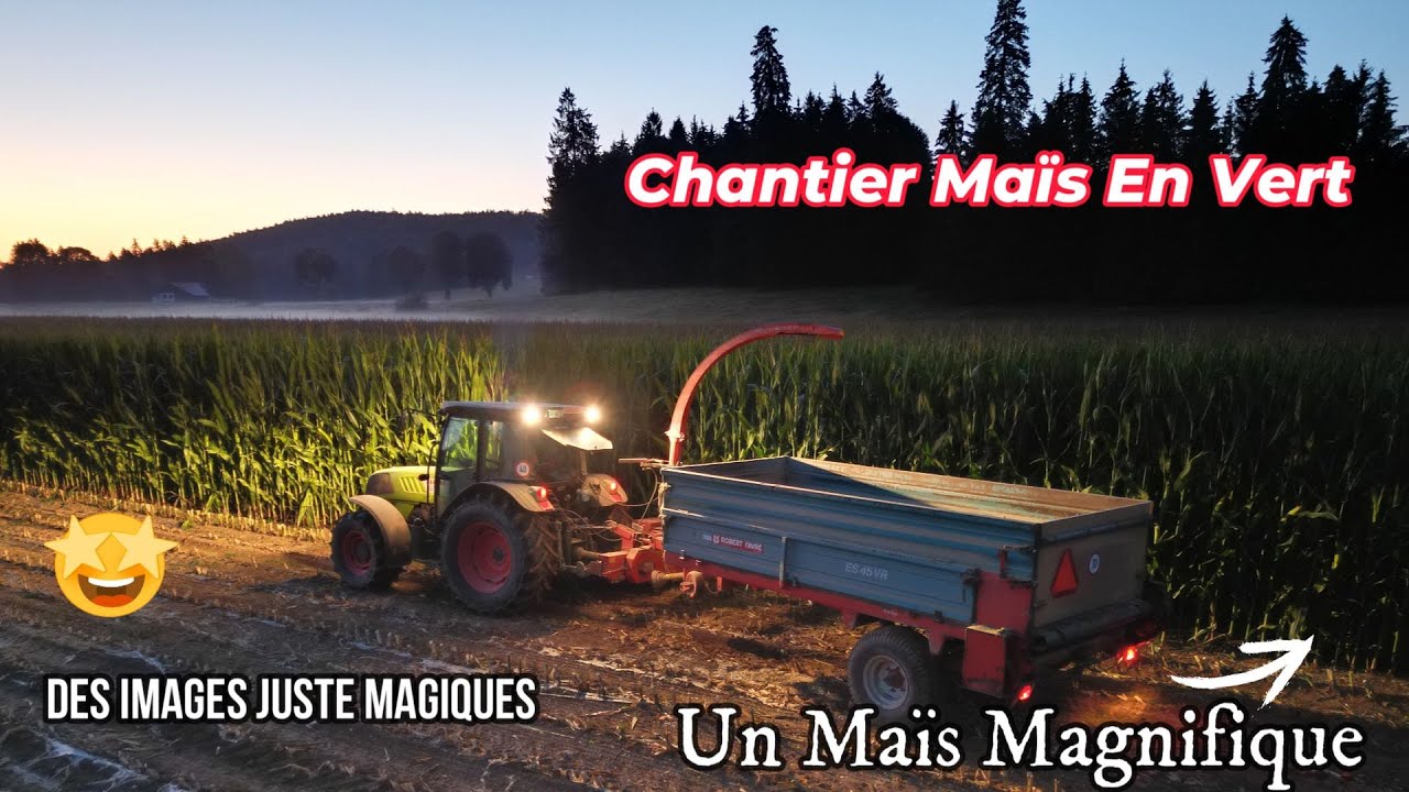 Maïs Au Vert... Images Magnifiques !!!