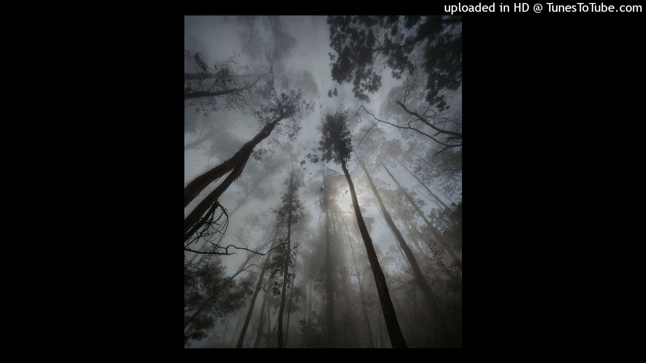 [FREE] ambient x izaya tiji type beat - The end (@kocimietkaa1)