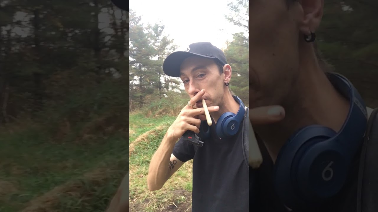 Hashplant