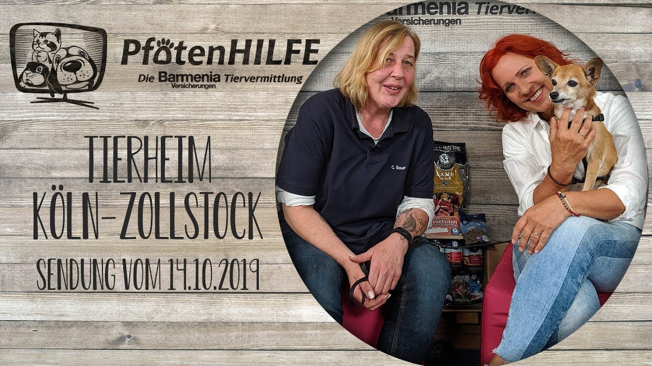 Pfotenhilfe - Die Barmenia Tiervermittlung 👉Tierheim KÖLN Zollstock