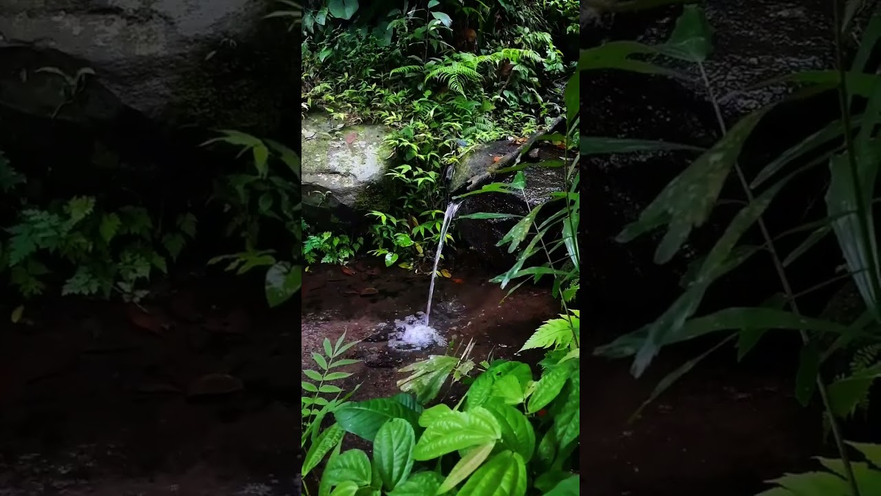 Nature ASMR 💧 Relaxing Water Sounds for Stress Relief & Calm Mind