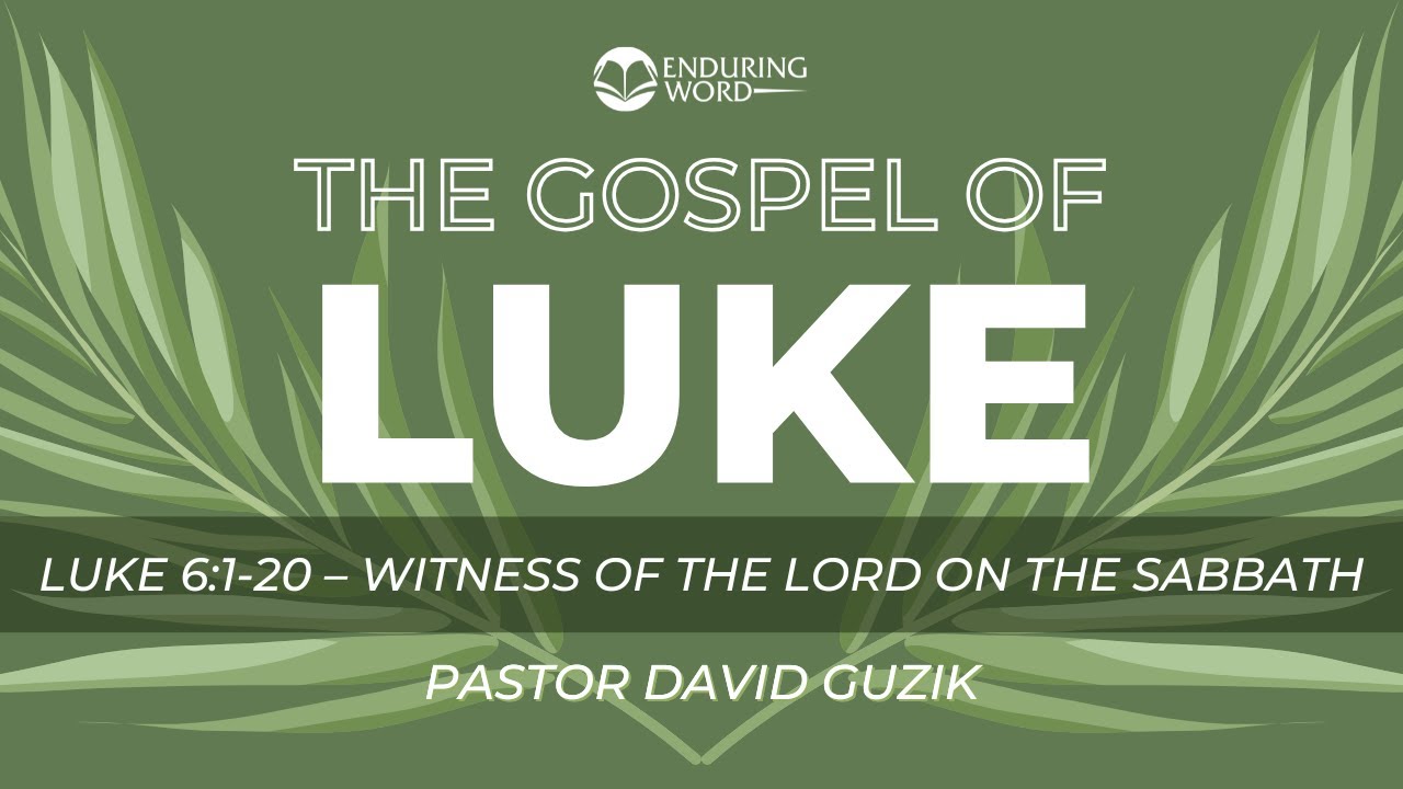 Luke 6:1-20 - Witness of the Lord of the Sabbath