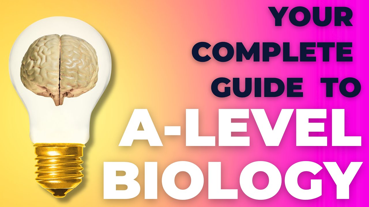 Your Complete Guide to A-level Biology in 2026