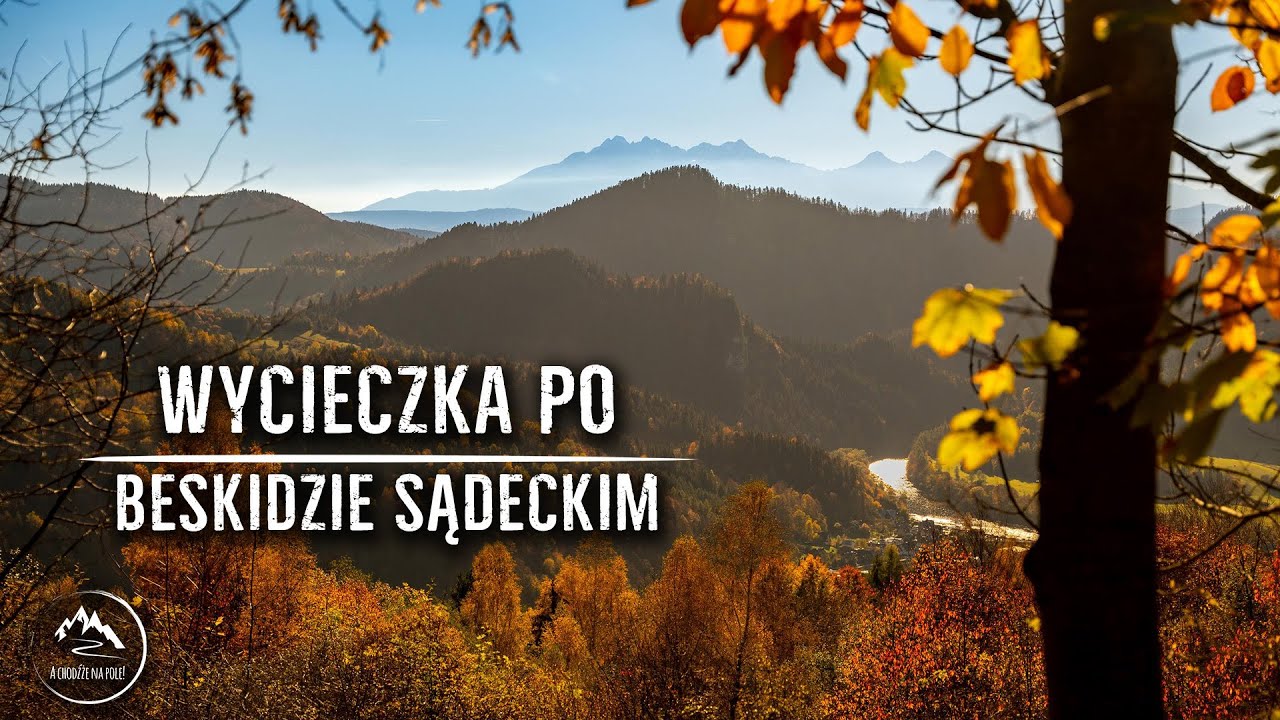 Beskid Sądecki - Szczawnica, Przehyba, Bereśnik [20.10.2022]