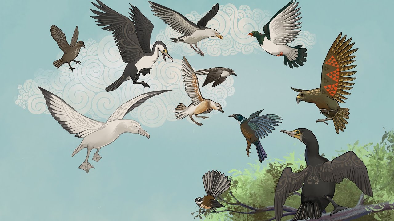 He Paki Taonga i a Māui: Ko te Pakanga a ngā Manu | Battle of the Birds