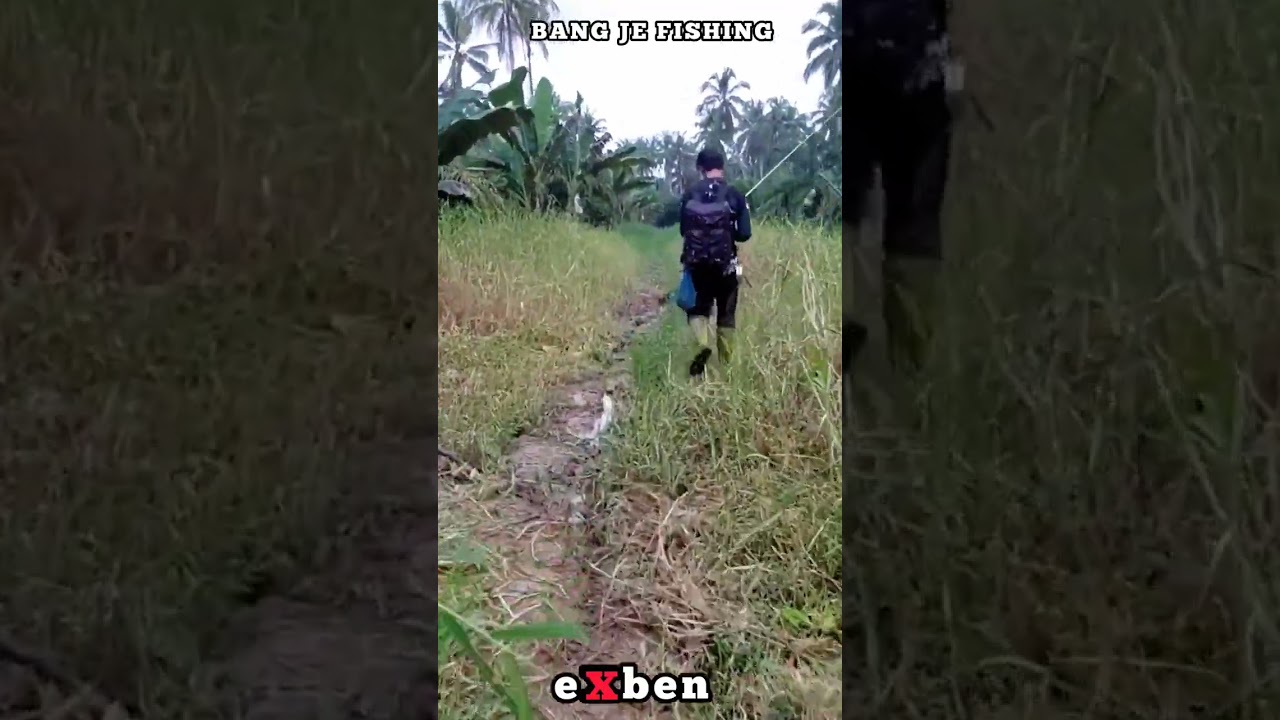 #exben