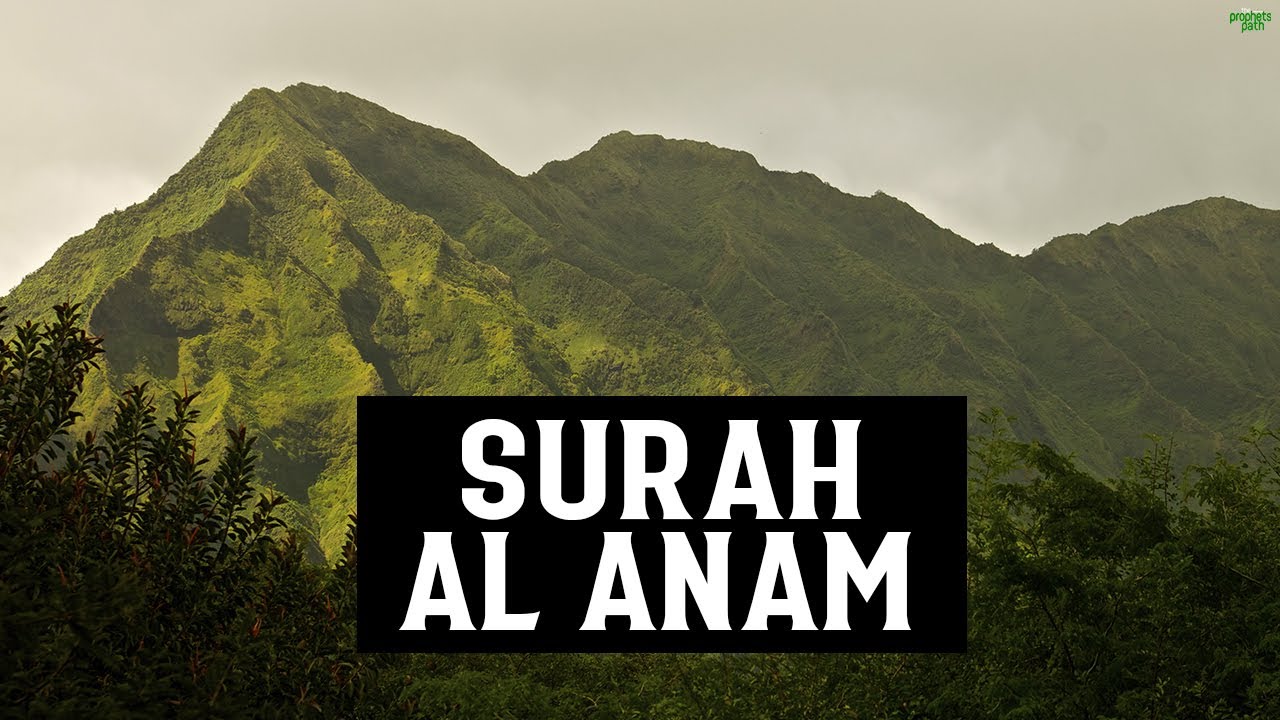 SURAH AL AN'AM (FULL SURAH) - HEART SOOTHING RECITATION