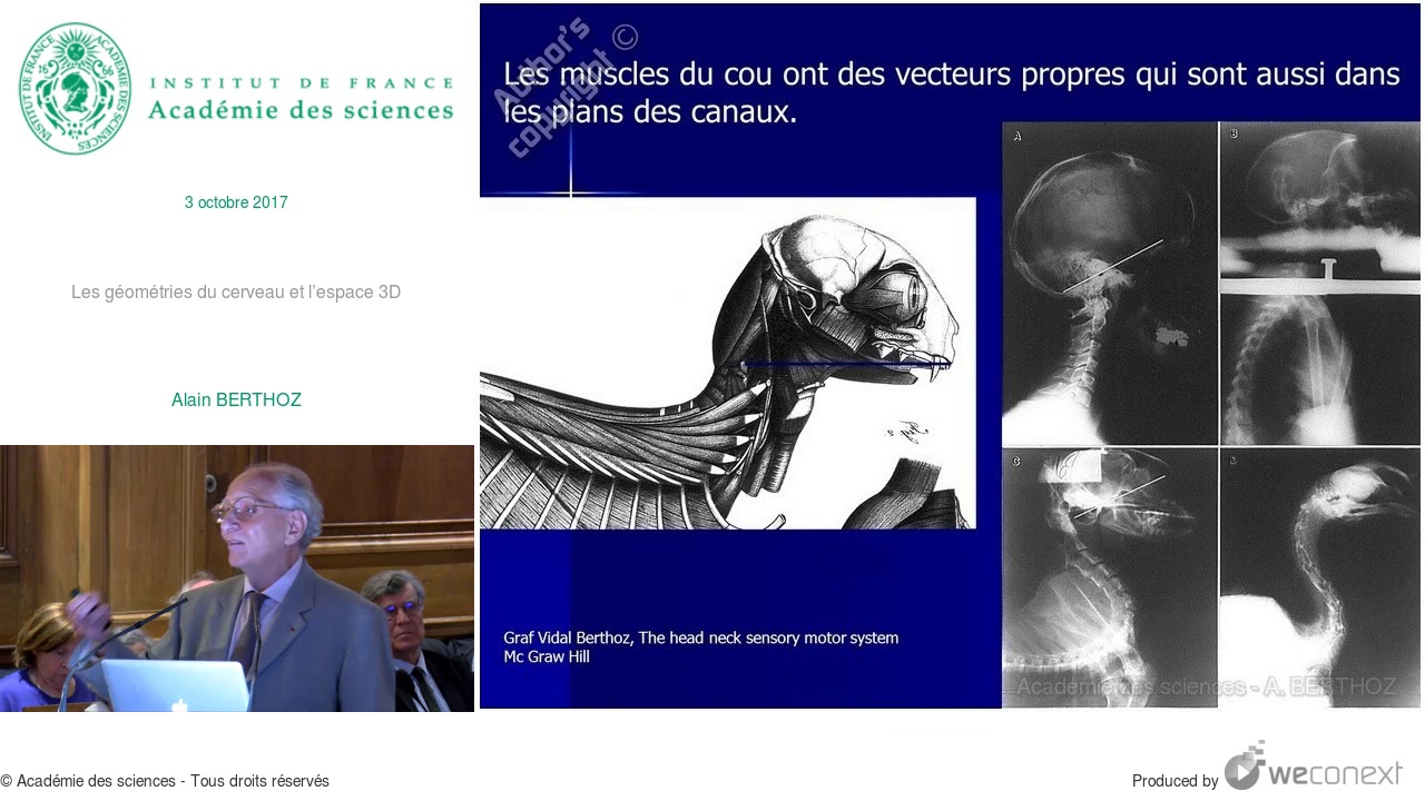 Les géométries du cerveau et l’espace 3D par Alain Berthoz