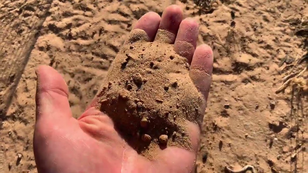 סיור בגינה שלי.השקייה,שיטות ריבוי,סוגים של צמחים וקומפוסט