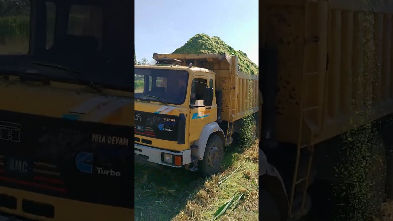 2aylık üründe kuru madde oranı yüzde 30,35