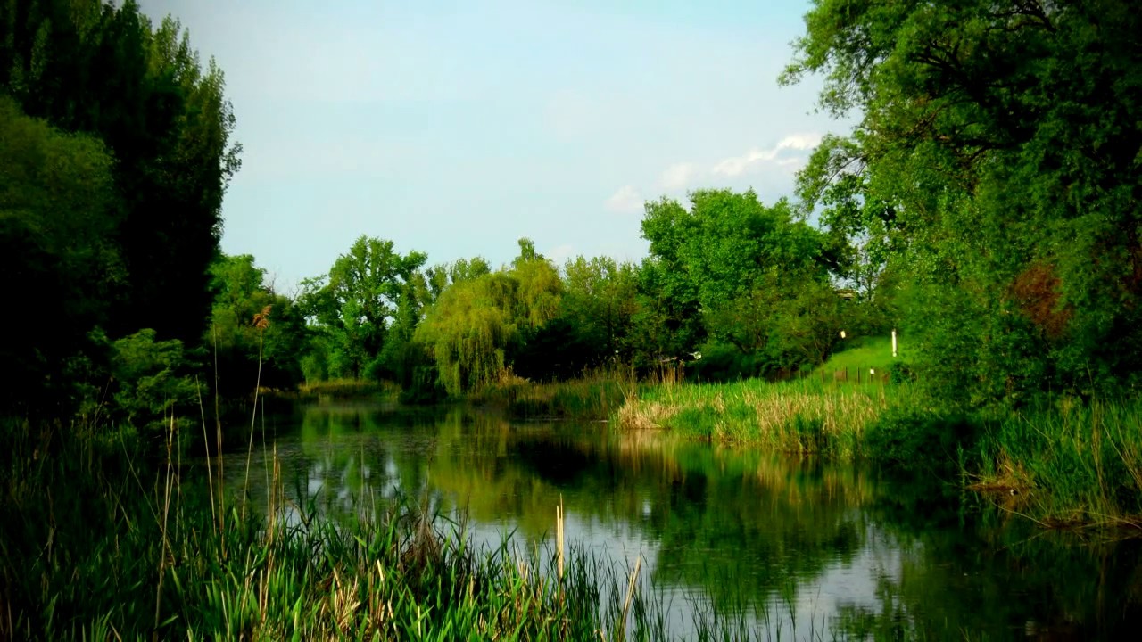 Dunaharaszti   Egy perc Magyarország