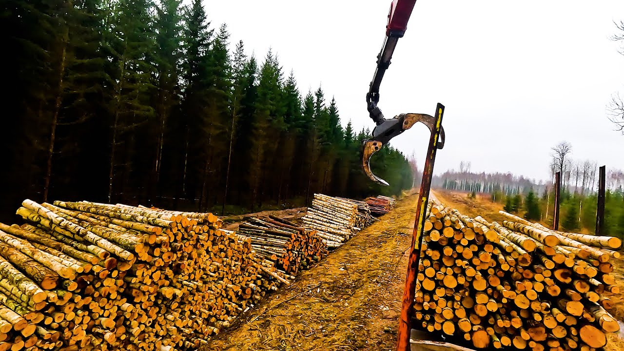 Loading birch pulpwood with Palfinger Timber Crane