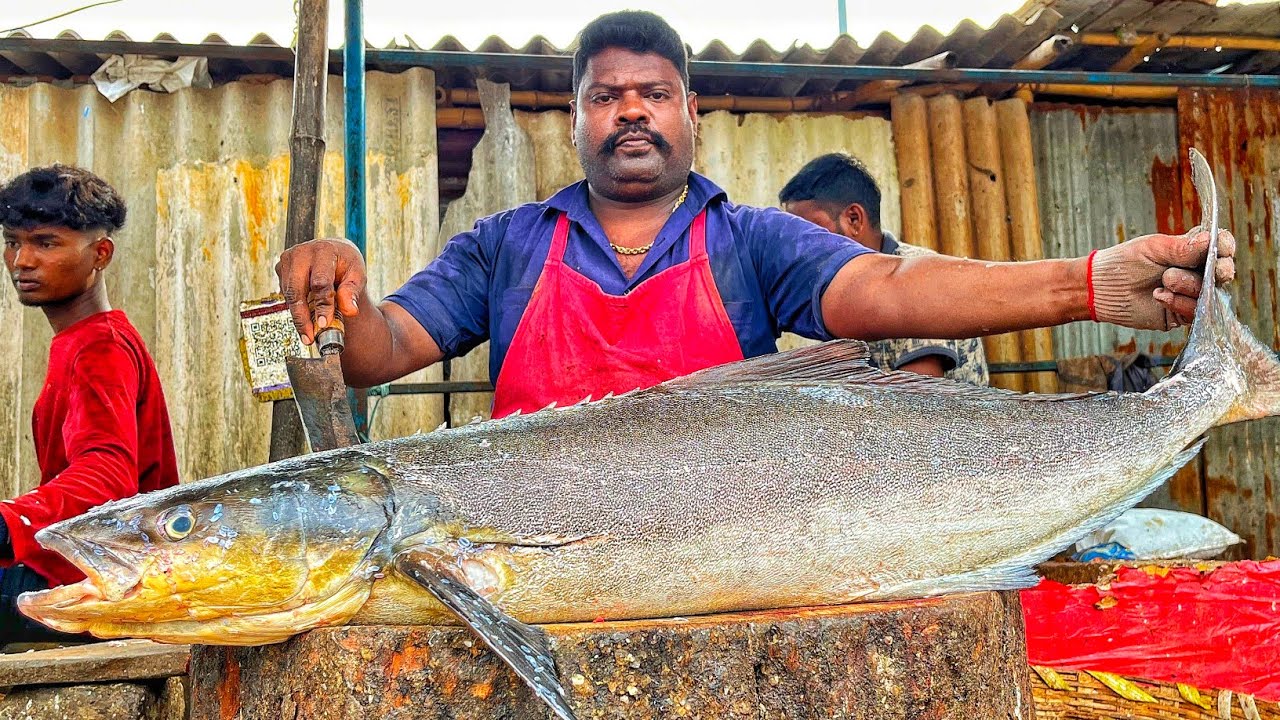 KASIMEDU 🔥 SPEED SELVAM | BIG SIZE COBIA FISH CUTTING VIDEO | 4K VIDEO | KM FISH CUTTING |INKASIMEDU
