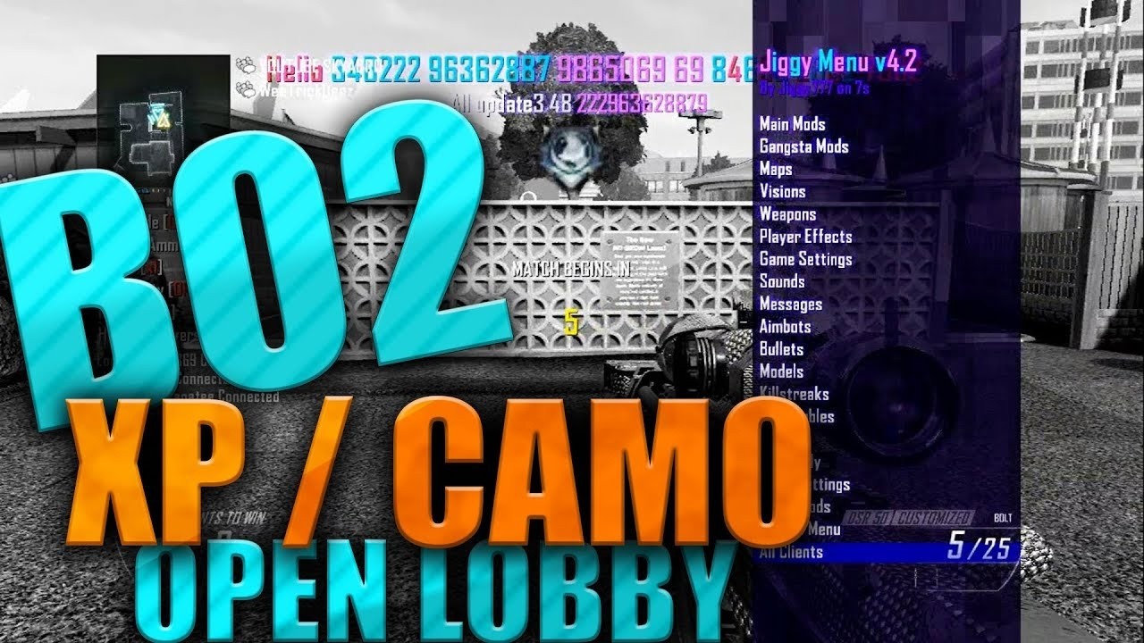 🔴 Hosting BO2 BOT LOBBIES NOW LIVE! PS4/PS5 Black Ops 2 Port BO2 XP BOT LOBBY GLITCH!