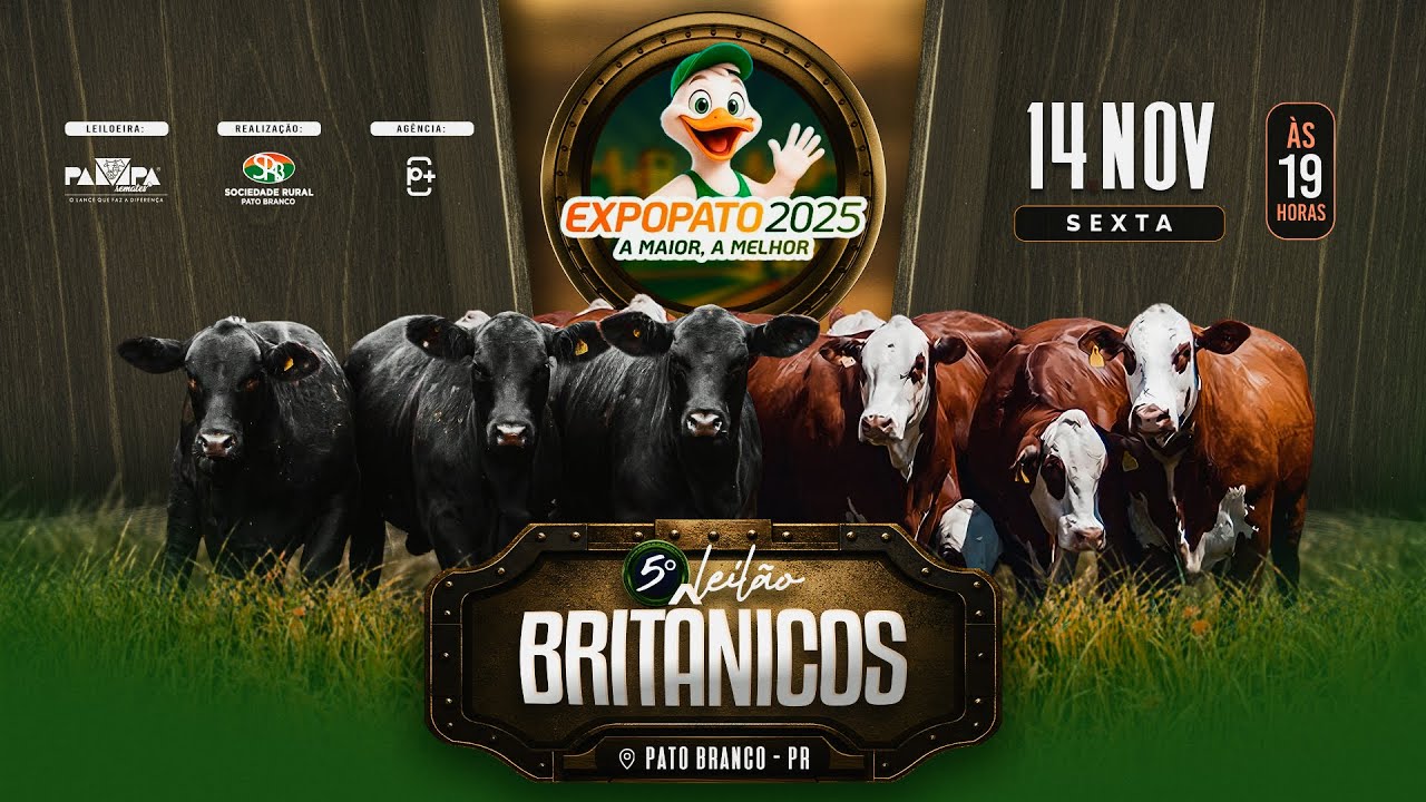 5&deg; Leil&atilde;o Brit&acirc;nicos, ExpoPato, PATO BRANCO/PR - 14/11/2025 19:00h