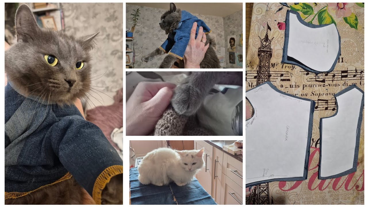 Уловить что-то кошачье🧶 Болталка интроверта🧵