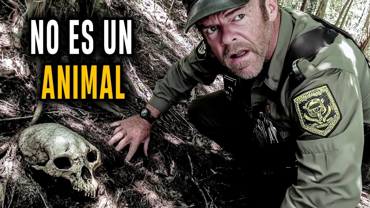 Relatos Aterradores de Criaturas que Habitan en Bosques y Parques Nacionales (Colección March)