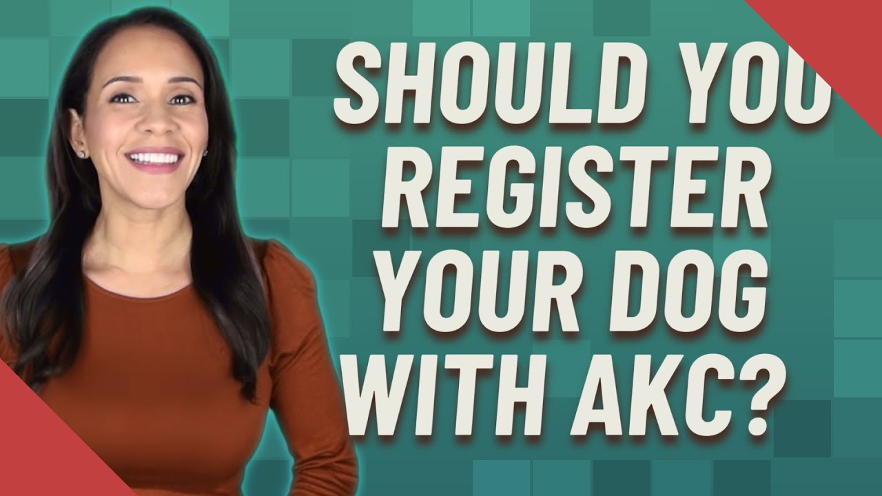 Should you register your dog with AKC?