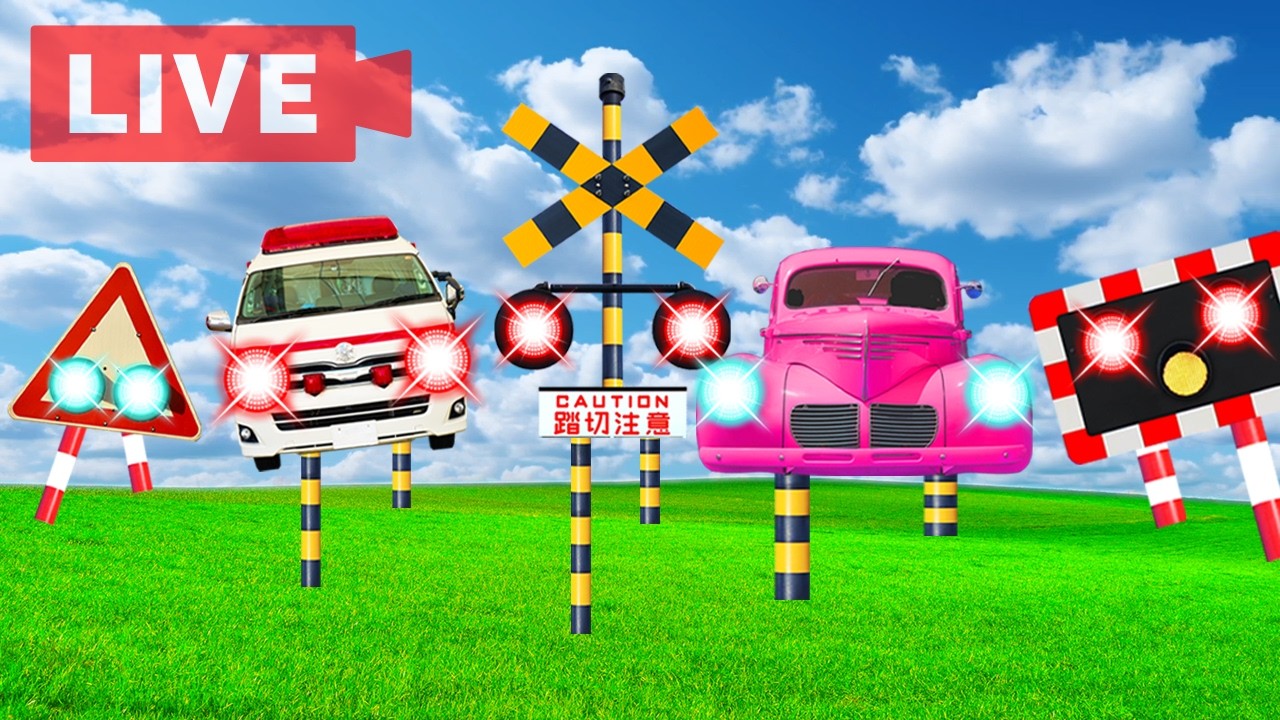 【踏切アニメLIVE】 #221 今日はどんなカンカン踏切ハプニング？｜毎日更新中！