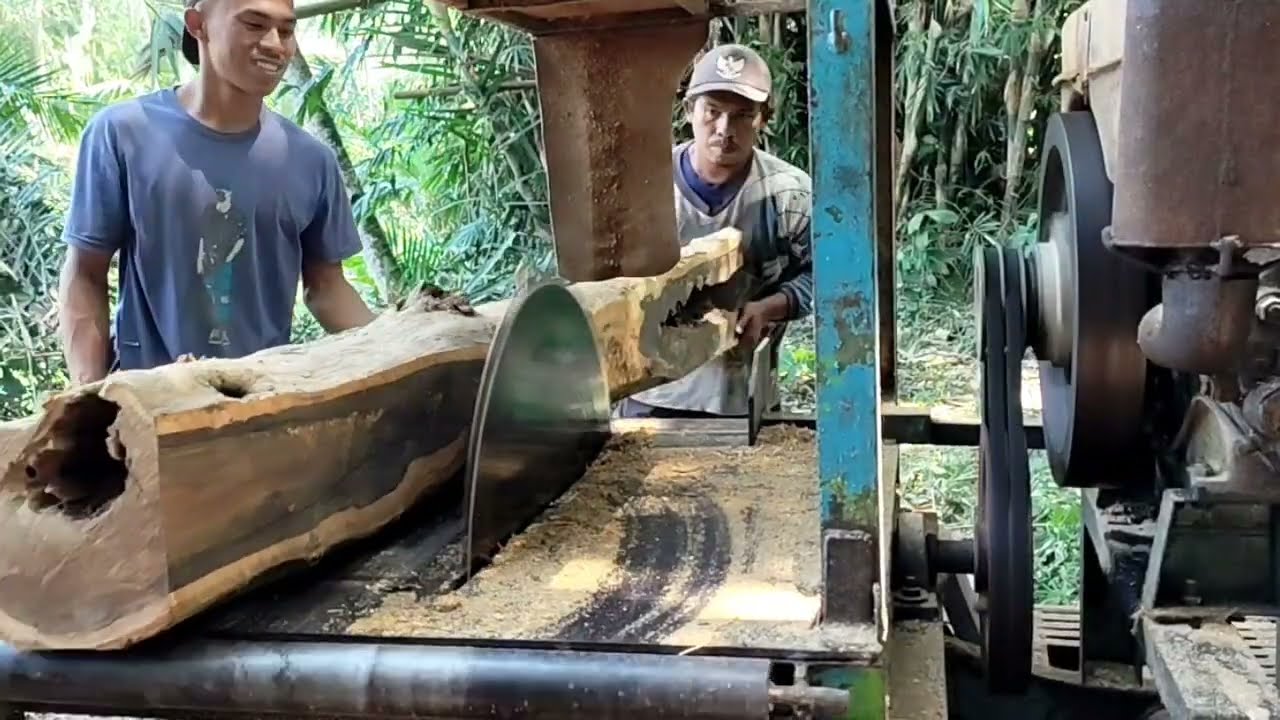 Kerugian yang mendalam, ternyata kayu jati ini bolong bolong