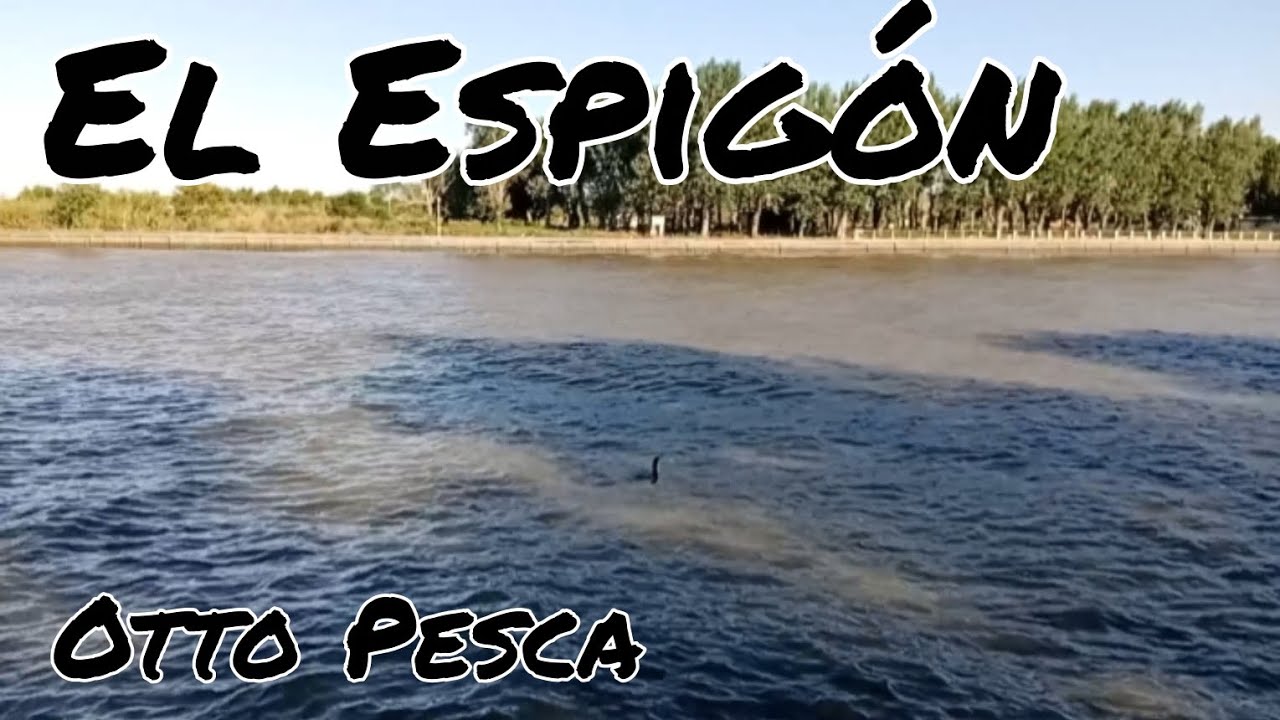 🇦🇷 PESCA de COSTA  en el ESPIG&Oacute;N de Ensenada #pesca #riodelaplata 