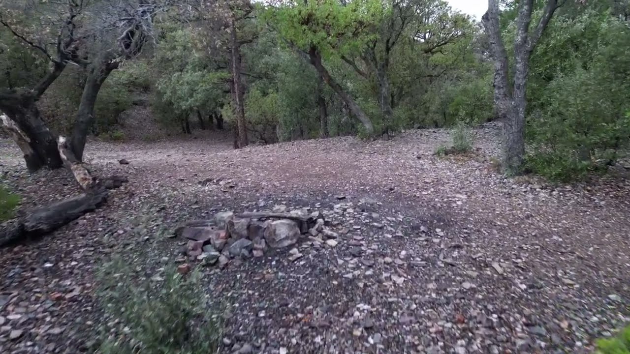 DJI Mini 3 Pro Flying Through Trees