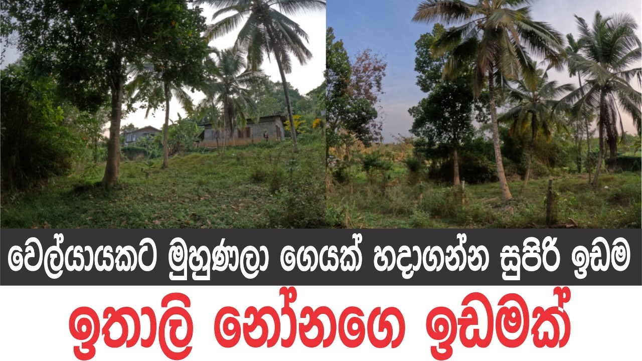 ඉතාලි නෝනගේ ඉඩම ගෙයක් හදාගන්න නියමයි..