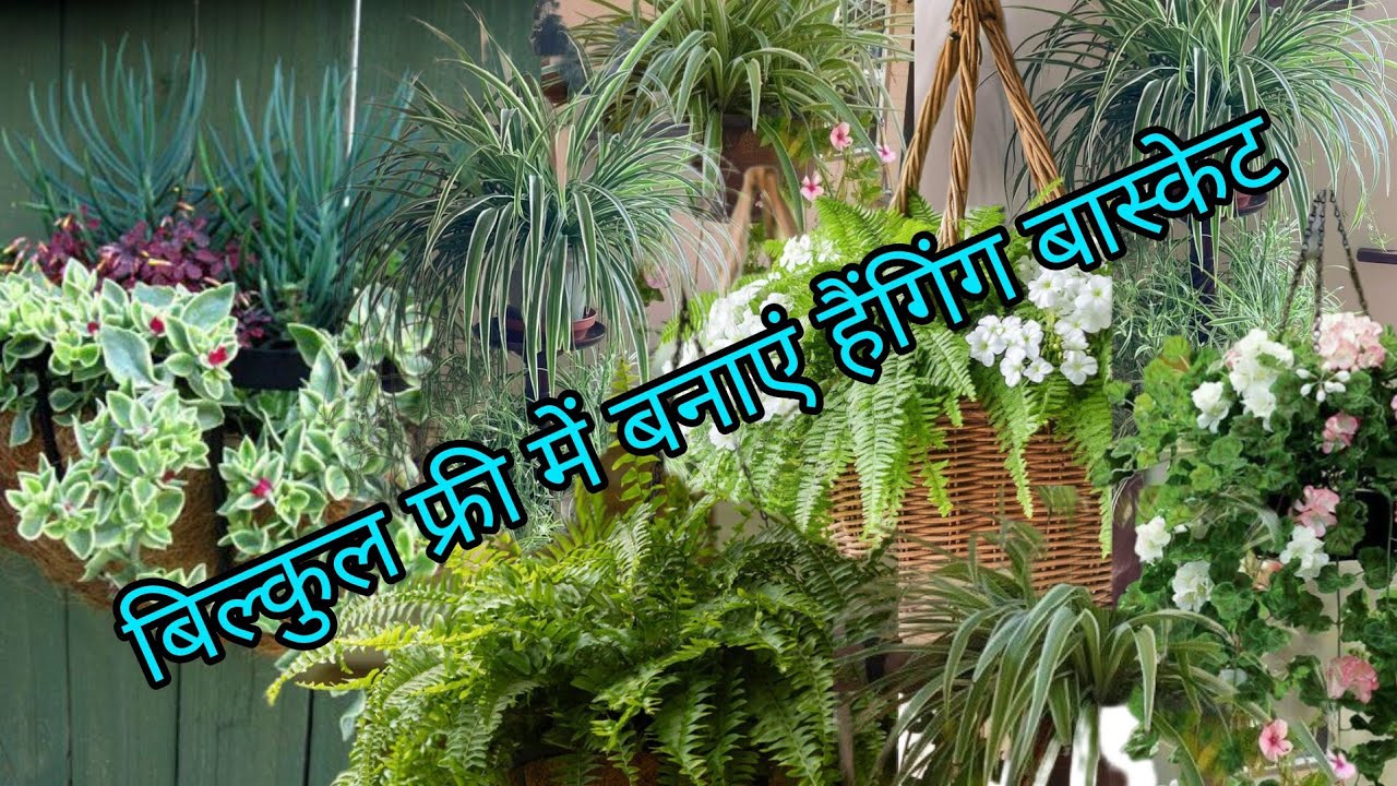 एक छोटे से टुकड़े से सजाएं  अपनी Hanging Baskets