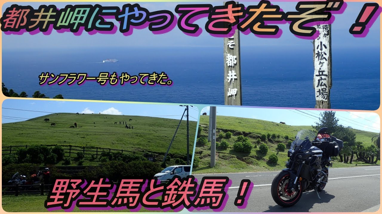 日南海岸の絶景と都井岬野生馬に会う　の巻
