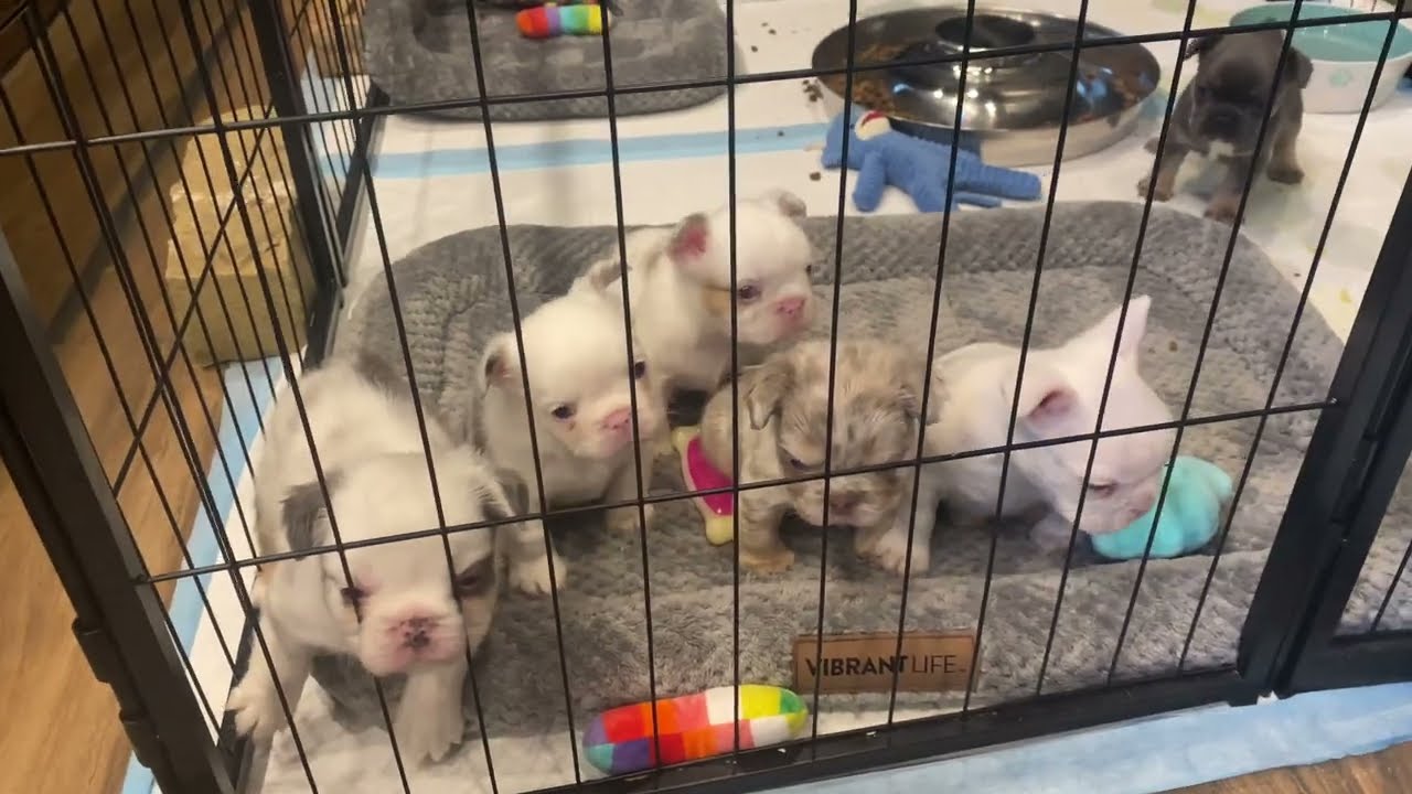 Weaning day2