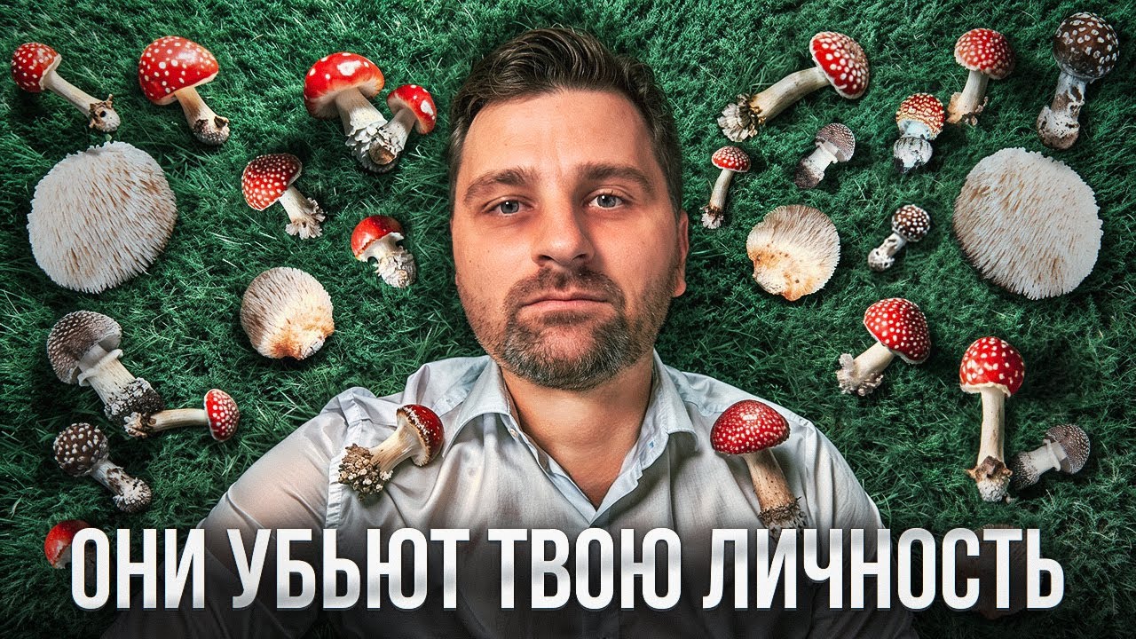 Вот почему тебе НЕЛЬЗЯ принимать мухомор и ежовик! Это должен знать каждый