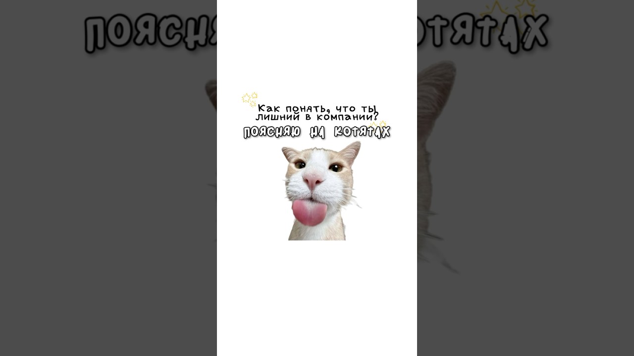 Как понять что ты лишний в компании?
