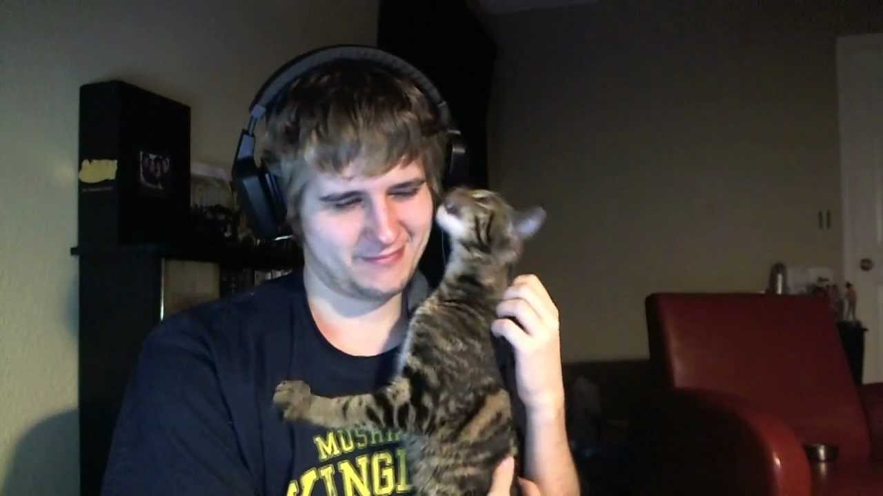 Meowgi is A Facehugger