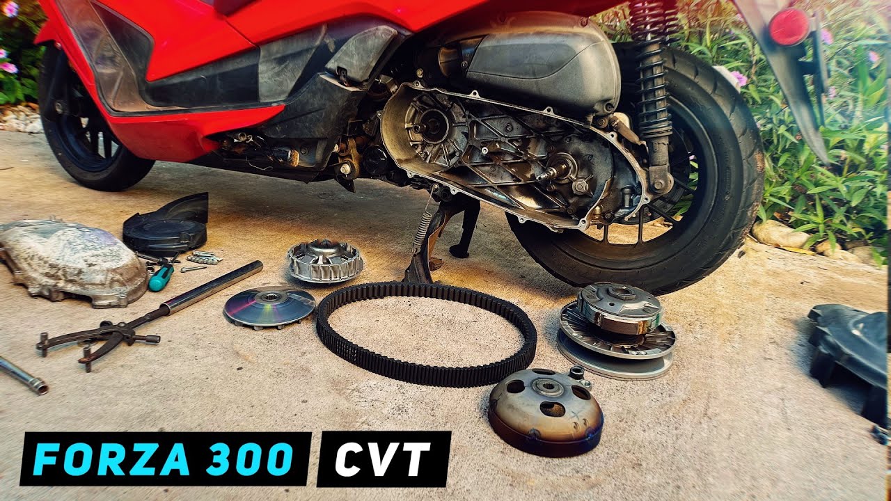 Honda Forza 300 - Снятие/Установка CVT (ремень/ролики,вариатор,сцепление) | Mitch's Scooter Stuff