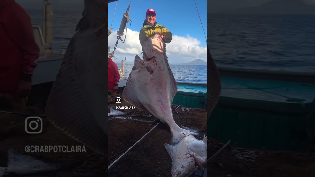 2025 commercial fishing recap 